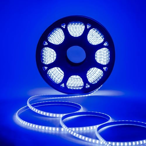 Image of Lexton 20 Meter Blue LED Rope Light with 2400 LEDs, Plug-in Decorative Waterproof & Flexible Strip, Energy Efficient Lighting for Home,Garden, Outdoor, Christmas & Party Decor (Pack of 1)