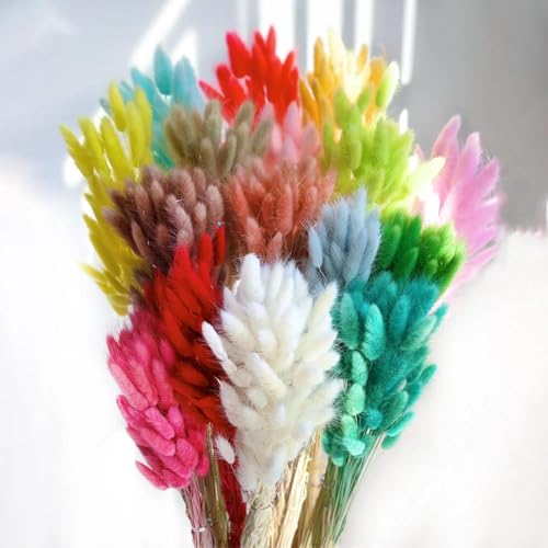 Decoración de Pasto Pampas Seco 100 Piezas Negro miniatura 2