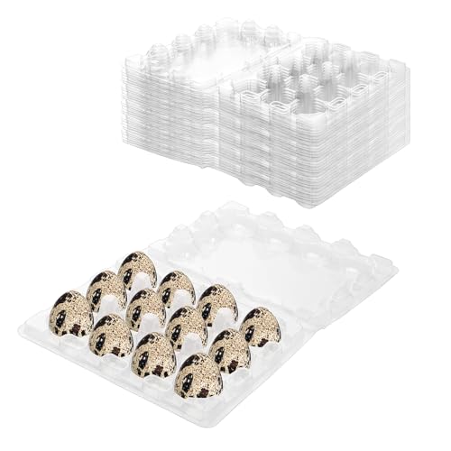 JIEHIN 120 cajas de huevos de codorniz de plástico, 12 rejillas, cajas de plástico para huevos de codorniz con tapa, cajas transparentes para huevos de codorniz para frigorífico
