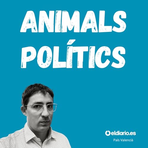 Ep. 34 - L'art de cuinar enquestes