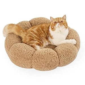 Lesure Calming Cat Beds for Indoor Cats – Cute Flower Pet Beds in Teddy Sherpa Plush, Donut Round Fluffy Puppy Bed, Non-Slip Extra Small Dog Bed Fits up to 15 lbs, Machine Washable, Camel 20″