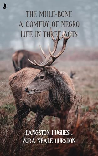 The Mule-Bone: A Comedy of Negro Life in Three Acts (English Edition)
