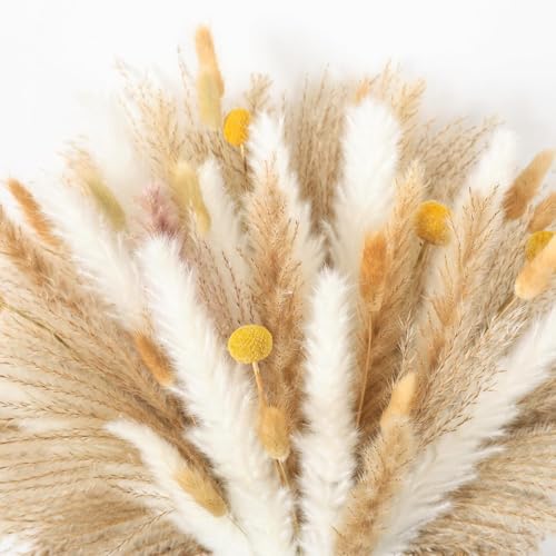 Ramo minimalista de pasto pampas seco, natural y blanco miniatura 3