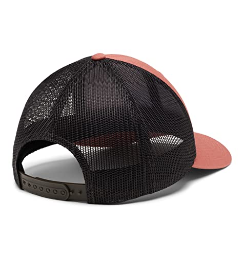 Image of Columbia Unisex Adult PFG Logo Mesh Ball Cap