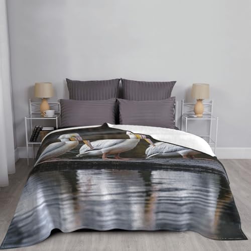 Couverture jeté de canapé flanelle trois pélicans plaid lit peluche