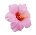 Hawaiian Hibiscus Flower Hair Clip (Pink)