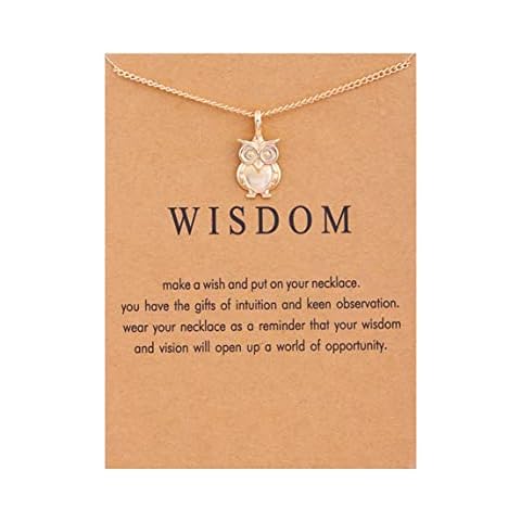 Eoumy Good Luck Owl Necklace with Message Gift Card Lucky Cute Animal Owl Charm Pendant Dainty Chain Necklaces for Women Cover