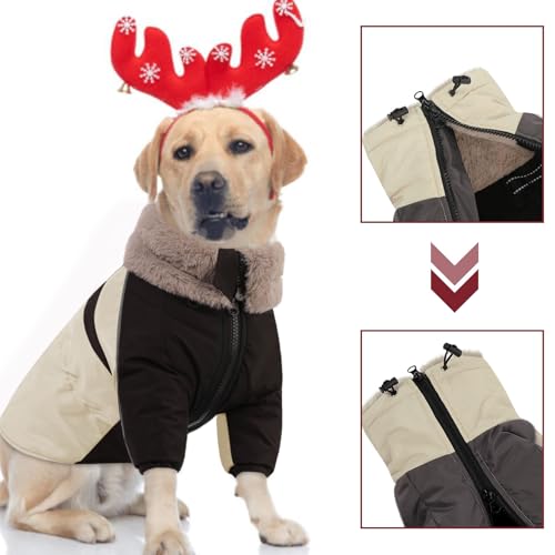 CITÉTOILE Hundemantel Winter, Wasserdicht & Winddicht Mit Geschirr für Kleine, Mittlere und Große Hunde, Reflektierende Hundejacke Mit Bauchschutz