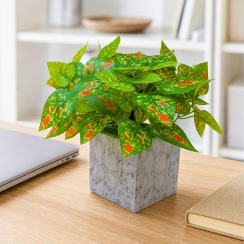 Image of fancymart Artificial Plant with Real-Touch Leaves in Pot, 25 cm, Indoor Tabletop Item for Home Decor, Office, Living Room