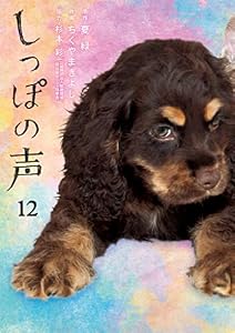 しっぽの声（１２） (ビッグコミックス)