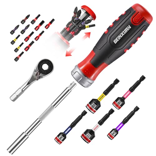Geinxurn 19 Pièces Ensemble de Tournevis à Cliquet, Mini Clé à Cliquet, Poignée de Tournevis à Cliquet Détachable et Clé à Douille avec 12 Embout de Vissage à Choc, Ensemble d'outils à Main Portables
