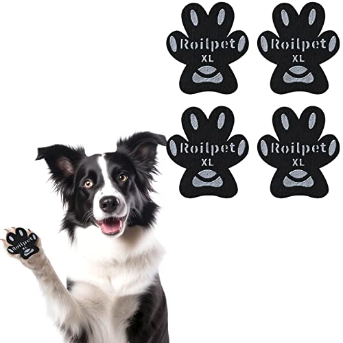 Best Anti Slip Paw Protection for Dogs StylesDaddy