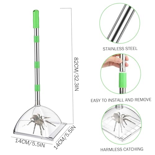 Attrape-insectes et araignées à long manche réglable léger - 3