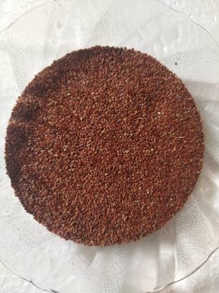 Agrogreen Lajwanti Seeds | Lajwanti Beej | Sensitive Plant Seeds | Chui Mui Seeds - (100 gm) - Image 3 thumbnail