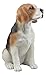 Ebros Large Lifelike Realistic Classic Tri Colored Beagle Dog Statue 14.5