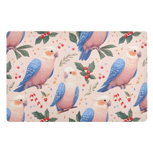 Cute Cartoon Australian Front Door Mat, Welcome Mat for Indoor Outdoor Non-Slip Rubber Entrance Mats Rugs for Entryway Patio Porch Bathroom Front Doormat