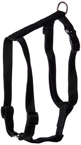 Zack & Zoey Butterfly Glow Harness Costume for Dogs, X-Large