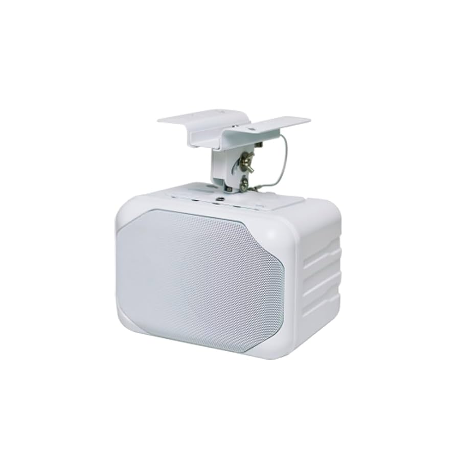 Amazon | オースミ電機 MASSIVE 天吊スピーカーシステム AV