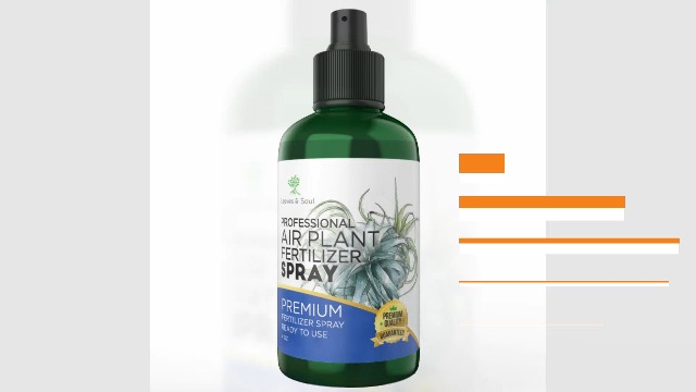 Air Plant Spray and Mist on Amazon Live