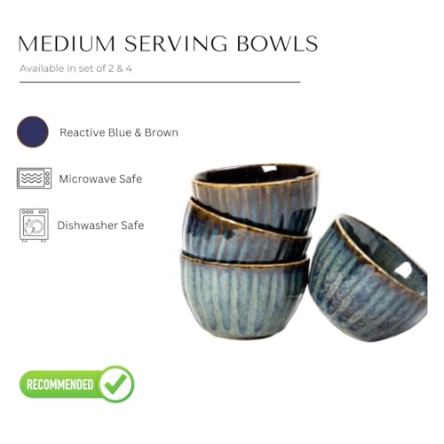 Image of Beyond Homes Ceramic Serving Bowl Set of 2, 200 ml | Glossy Finish Microwave Safe Stoneware Kharbuja, Melon Bowls for Kitchen, Ceramic Dinnerware Katori for Dal, Desserts & Snacks | Blue Brown