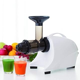 低速ジューサー/キッチン家電 【搾る・おろす・挽く・練る・混ぜる】 刃不使用 『ベジフル』