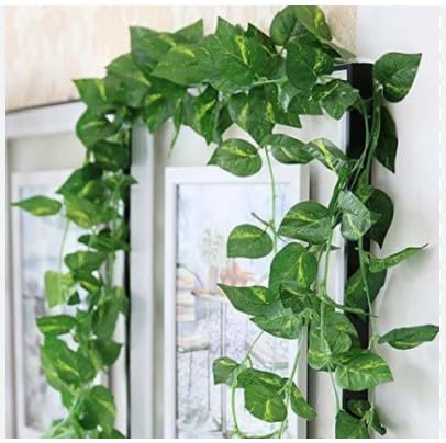 See full amazon price history chart for Hoppokart Artificial Money Plants,Fabric Artificial Maple Plant Creepers Leaves for Wall Hangings,Home Decoration (4 Strings, 7.2 Feet), Green, Artificial Plant, Fabric, Plastic Hoppokart Artificial Money Plants,Fabric Artificial Maple Plant Creepers Leaves for Wall Hangings,Home Decoration (4 Strings, 7.2 Feet), Green, Artificial Plant, Fabric, Plastic (B0D2NGZSDL) Amazon Price History, Amazon Price Tracker