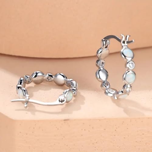 Exquisite Dainty Hoop Earrings for Women Versatile Charms Daily Jewelry2