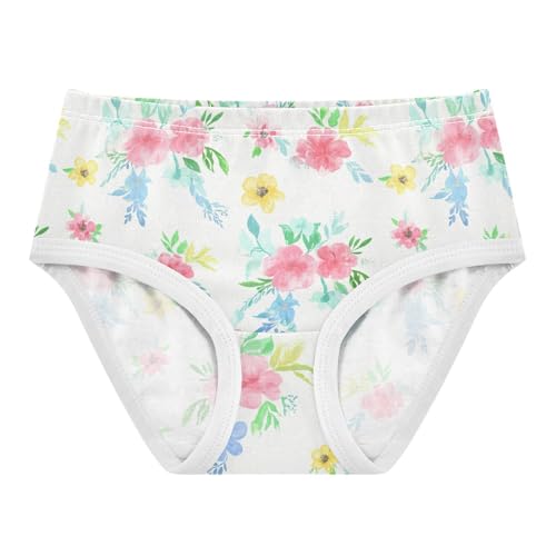 Flowers Floral Toddler Girls's Underwear 2T 2302899
