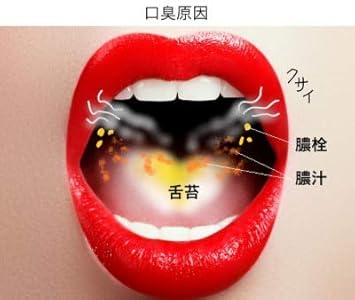 口臭予防歯磨き粉 美息美人