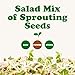 Food to Live - Salad Mix of Sprouting Seeds, 8 Ounces Broccoli, Clover, Radish, Alfalfa, Kosher, Raw, Vegan