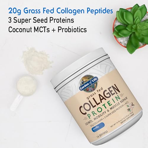 Garden of Life Grass Fed Collagen Protein Powder, Vanilla, 14 Servings | Collagen Peptides with Coconut MCTs and Super Seeds, Drink Mix - image 4