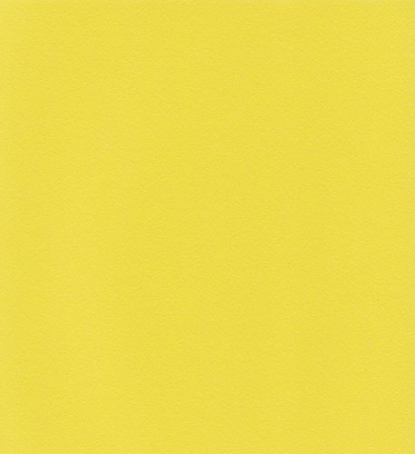 エスケント ケント紙 スターカラー 八切 サンフラワー 100枚 5747008