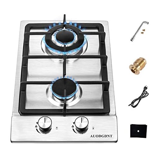 Gas Stove Gas Cooktop 2 Burners,12 Inches Portable Stainless Steel Built-in Gas Hob LPG/NG Dual Fuel Easy to Clean for RVs, Apartments, Outdoor
