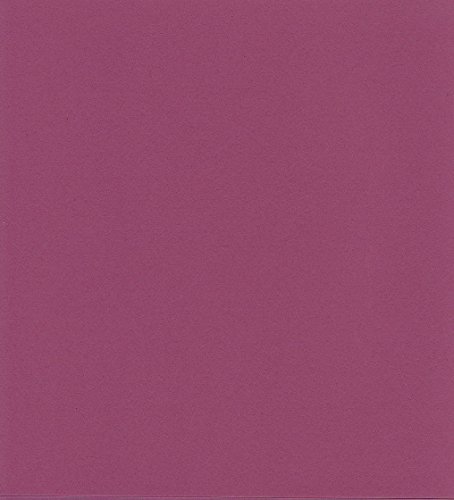 エスケント ケント紙 スターカラー 八切 プラム 100枚 5756008