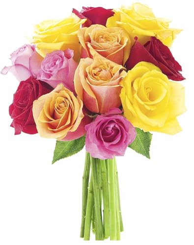KaBloom 12 Assorted Roses Without Vase