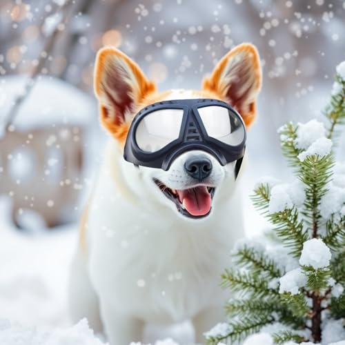 PETLESO Sonnenbrille für Hunde UV Hundebrille Einfach zu Tragen Schutzbrille für Hunde Modisches Haustierzubehör Motorradbrille für Kleine/Mittelgroße Hund