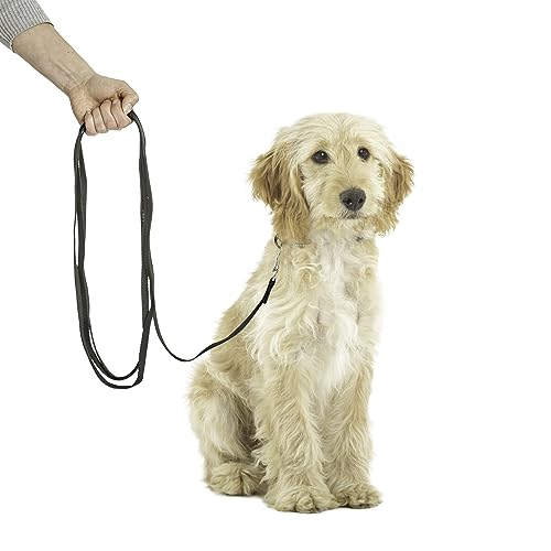 COMPANY OF ANIMALS Recall Line Lightweight 5m, Best Dog Training Equipment, Soft to hold, Perfect for Recall Training, Chasing, Dog & Puppy Training and Socialisation For Small, Medium & Large Dogs