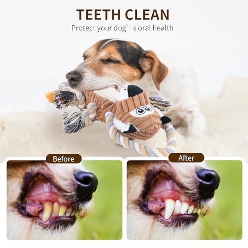Squeaky Dog Toys Interactive Durable Rope-Infused Lion Shape Puppy Chew Toys for Small, Medium and Big Dogs Squeaky Dog Toys Interactive Durable Rope-Infused Lion Shape Puppy Chew Toys for Small, Medium and Big Dogs