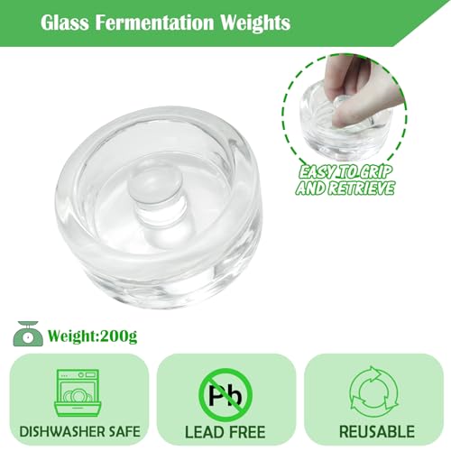 32 oz Mason Jar Fermentation Kit
