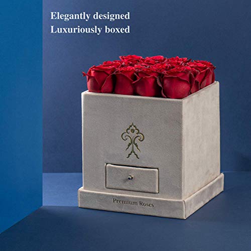 Premium Roses| Real Roses That Last a Year | Fresh Flowers| Roses in a Box (White Box, Medium)
