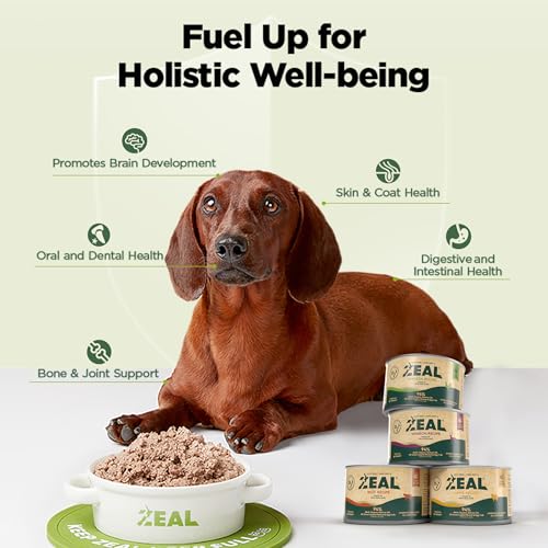 Image of ZEAL New Zealand Wet Dog Food - High Protein, Pure Nutrition, Grain-Free with Superfoods (Lamb, 13.76oz Can 12-Pack)