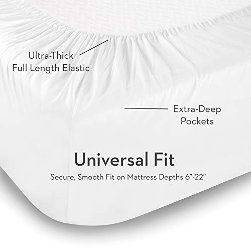 Malouf Ma04Qqivic Queen Pillowcase Ivory, Set (2) #TOP4