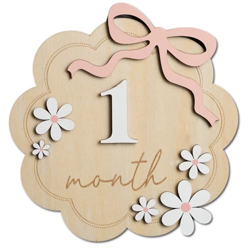 Image of Baby Monthly Milestone Sign,1-12 Monthly Baby Milestone, Month Milestone Baby Girl, Baby Months Milestone, Newborn Photography Props Double-Sided (B12)