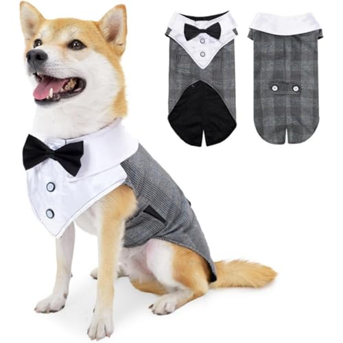 Wnbsiue   m ̕ ^LV[h ybg am  m  X[c  ^ ^ Č _bNX S[fgo[ sbgu uh[ lN^C nEB NX}X   ϐg (O[,S