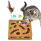 Passaggio dall'istinto al gioco: la scatola per lime per unghie per gatti favorisce il passaggio dall'istinto al gioco integrando un approccio temperam ent-inclusivo che consente agli animali domestici di alleviare naturalmente lo stress attraverso l'interazione giocosa