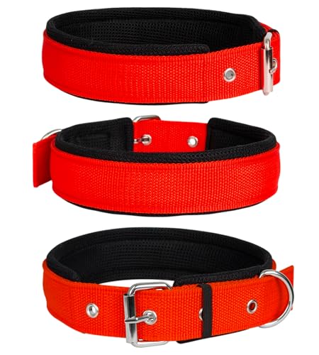 Image of Nylon Dog Collar for Medium Dogs, Soft Padded Dog Belt Neck Collar, Dog Belt for Medium Dogs Beagle, Basenji, Boxer, Dalmatian, Shiba Inu (RED, M), 19 inch