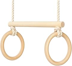 Swing Disc with Climbing Ladder & Rings for Kids | Indoor Outdoor Playground Swing Set (Trapeze Bar with Gymnastic Rings)