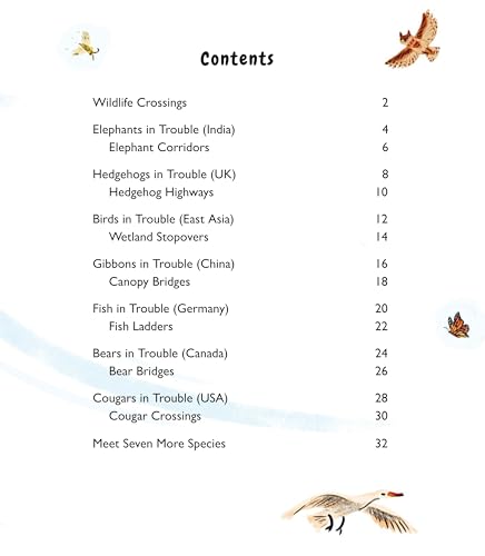 Wildlife Crossings: Protecting Animal Pathways Around the World - Image 5