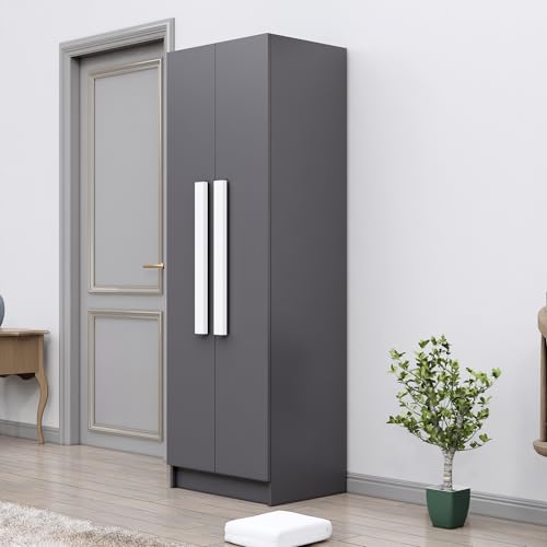 Image of Bniture Wooden Almirah for Clothes, Door for Bedroom, 2 Door Wardrobe with 4 Shelves Huge Storage Space (46D x 60W x 182H CM) | 3 Year Warranty (Slate Grey)