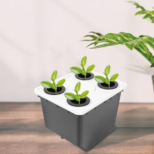 Cubo de cultivo sin suelo para huerto e invernadero de hortalizas 6